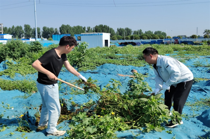 齐心协力，共建美好工程形象——河南誉蜂开展安阳项目工地除草活动